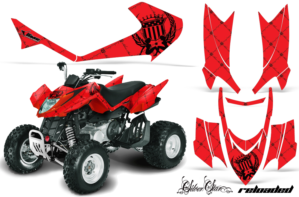 Arctic Cat DVX Graphics SSR BR